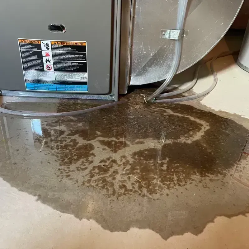 Appliance Leak Cleanup in Magoffin County, KY